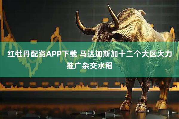 红牡丹配资APP下载 马达加斯加十二个大区大力推广杂交水稻