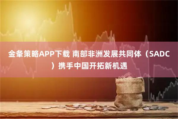 金夆策略APP下载 南部非洲发展共同体（SADC）携手中国开拓新机遇
