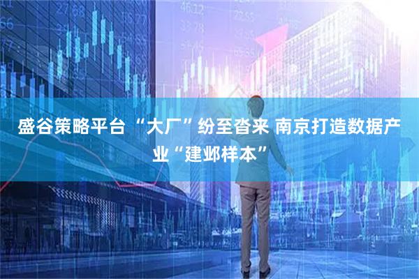 盛谷策略平台 “大厂”纷至沓来 南京打造数据产业“建邺样本”