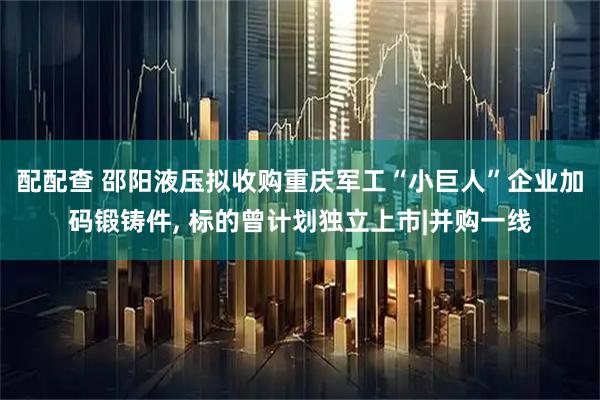 配配查 邵阳液压拟收购重庆军工“小巨人”企业加码锻铸件, 标的曾计划独立上市|并购一线