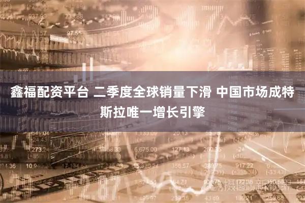 鑫福配资平台 二季度全球销量下滑 中国市场成特斯拉唯一增长引擎