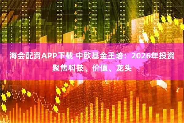 海会配资APP下载 中欧基金王培：2026年投资聚焦科技、价值、龙头